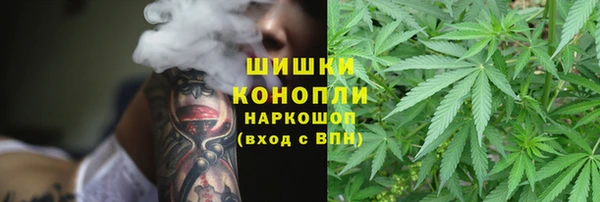 не бодяженный Алзамай