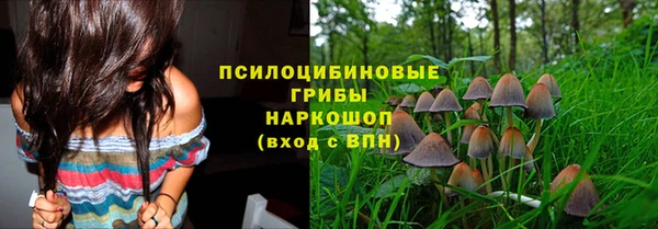 прущая мука Няндома